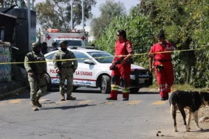 Localizan con huellas de violencia, a dos hombres sin vida cerca de Africam Safari