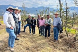 Productores de manzana de Zacatlán, fortalecen sus conocimientos en Aquixtla