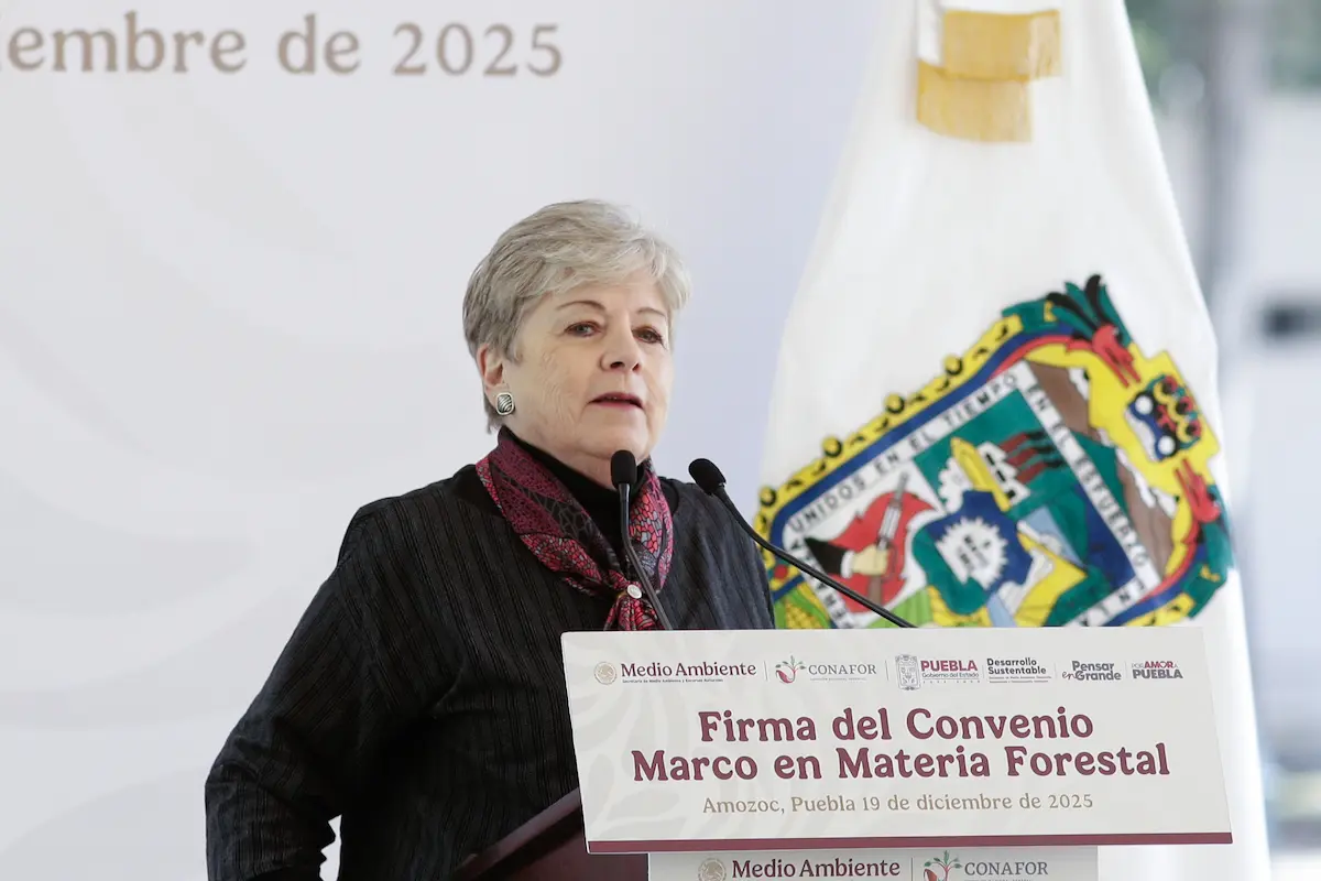 Rescate del río Atoyac: Reforestación y servicios ambientales costarán 40 millones de pesos