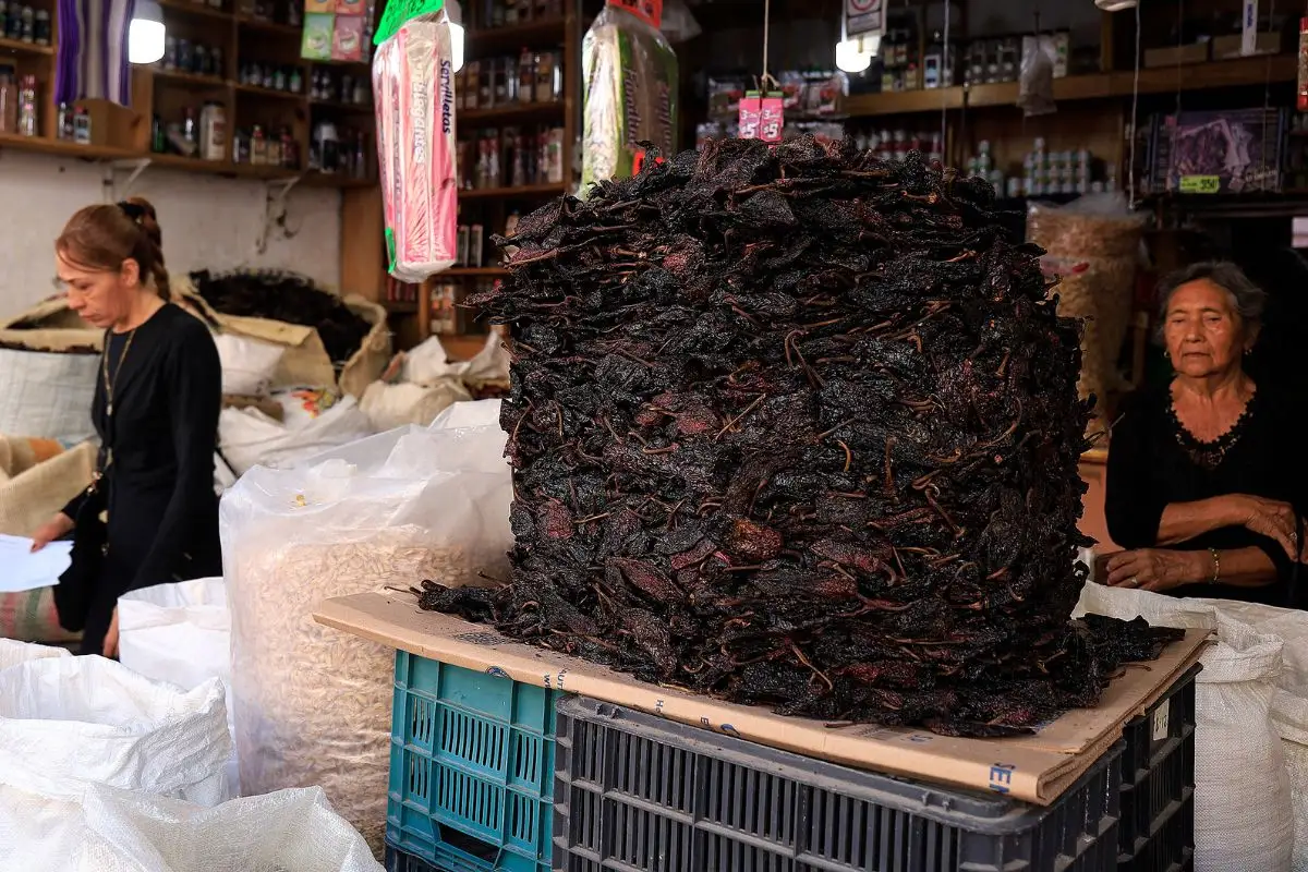 Ayuntamiento de Puebla clausuró 104 locales 