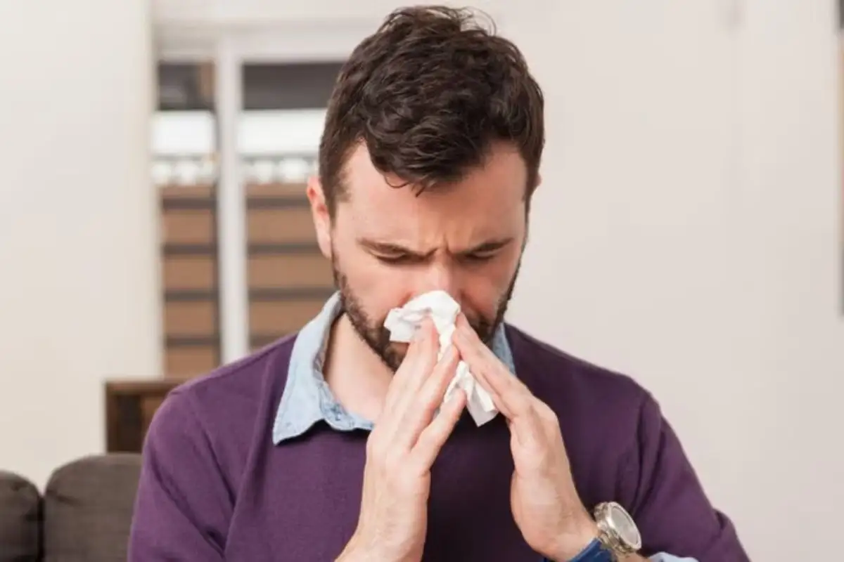 ¿Qué se sabe del brote de gripe H3N2 en Europa? Reino Unido vuelve al cubrebocas 1 brote de gripe H3N2 en Europa