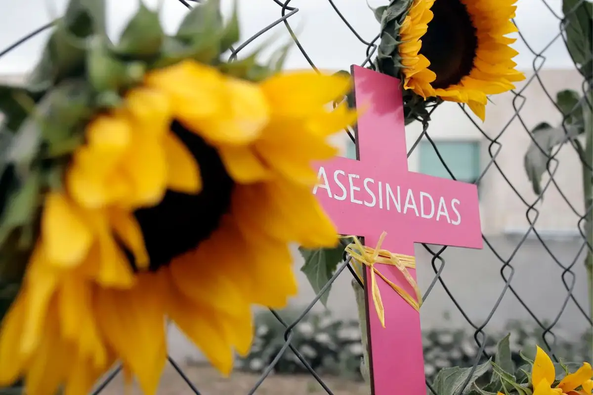 Citlalli Hernández celebra fallo contra Javier López Zavala: Se da un gran paso a la justicia