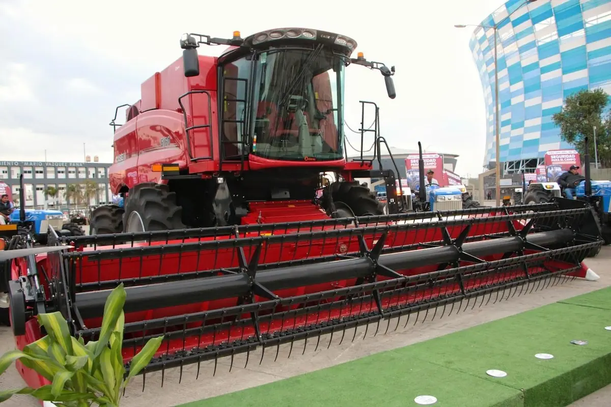 photo 2025 12 12 08 54 16 1