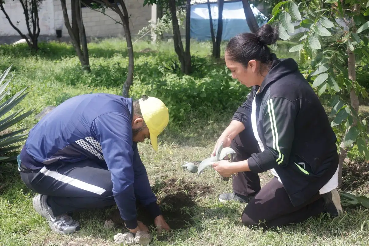Empresa que construirá el Cableblús plantará 10 mil árboles en Puebla