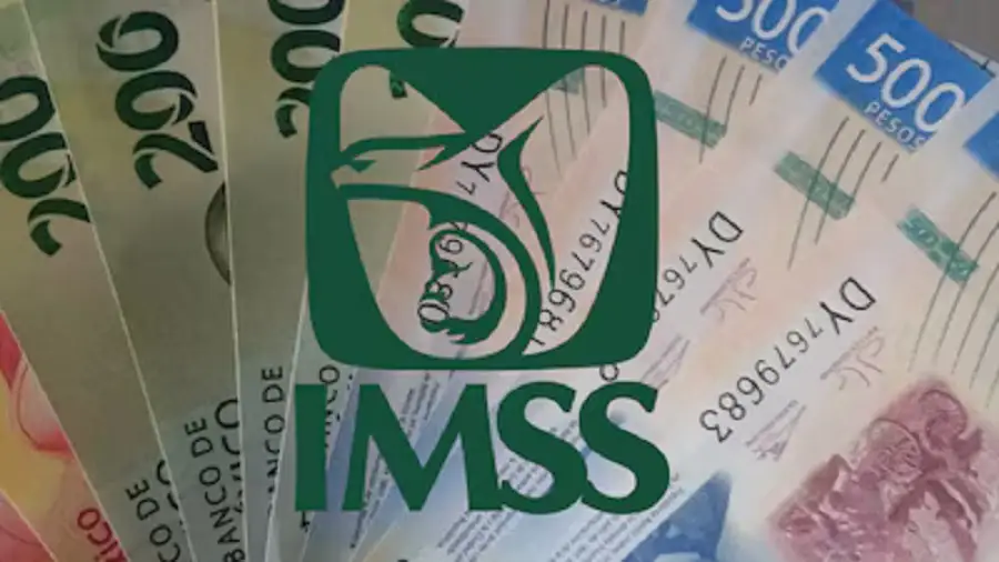 ¿Cuándo será el primer pago de pensión del IMSS 2026?