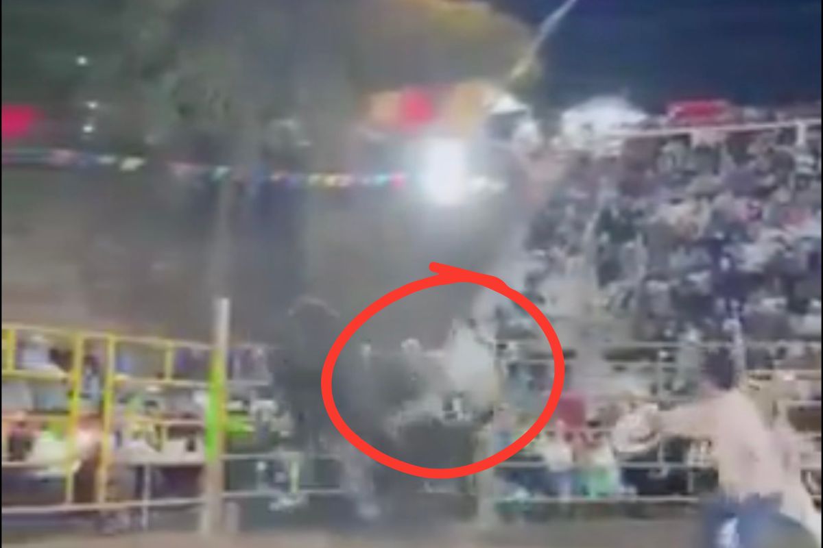 Accidente en jaripeo de Huehuetlán: Toro embiste a jinete en pleno espectáculo (VIDEO) 2 Accidente en jaripeo de Huehuetlán