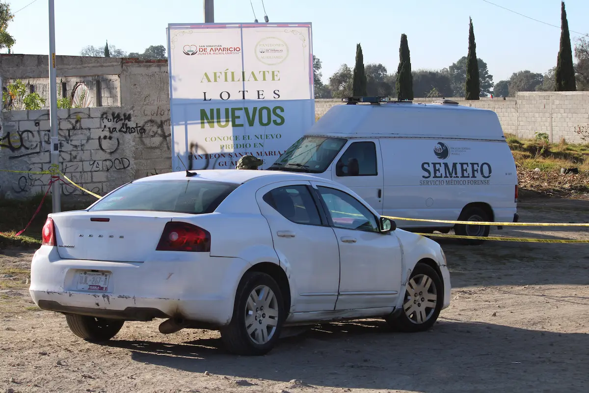 Cuerpos embolsados en Aparicio, fueron reportados como desaparecidos