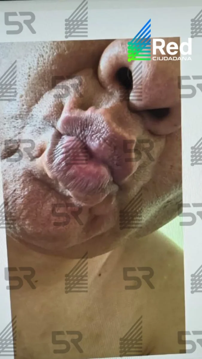 Difunden mensajes de profesor del BINE a una alumna menor de edad