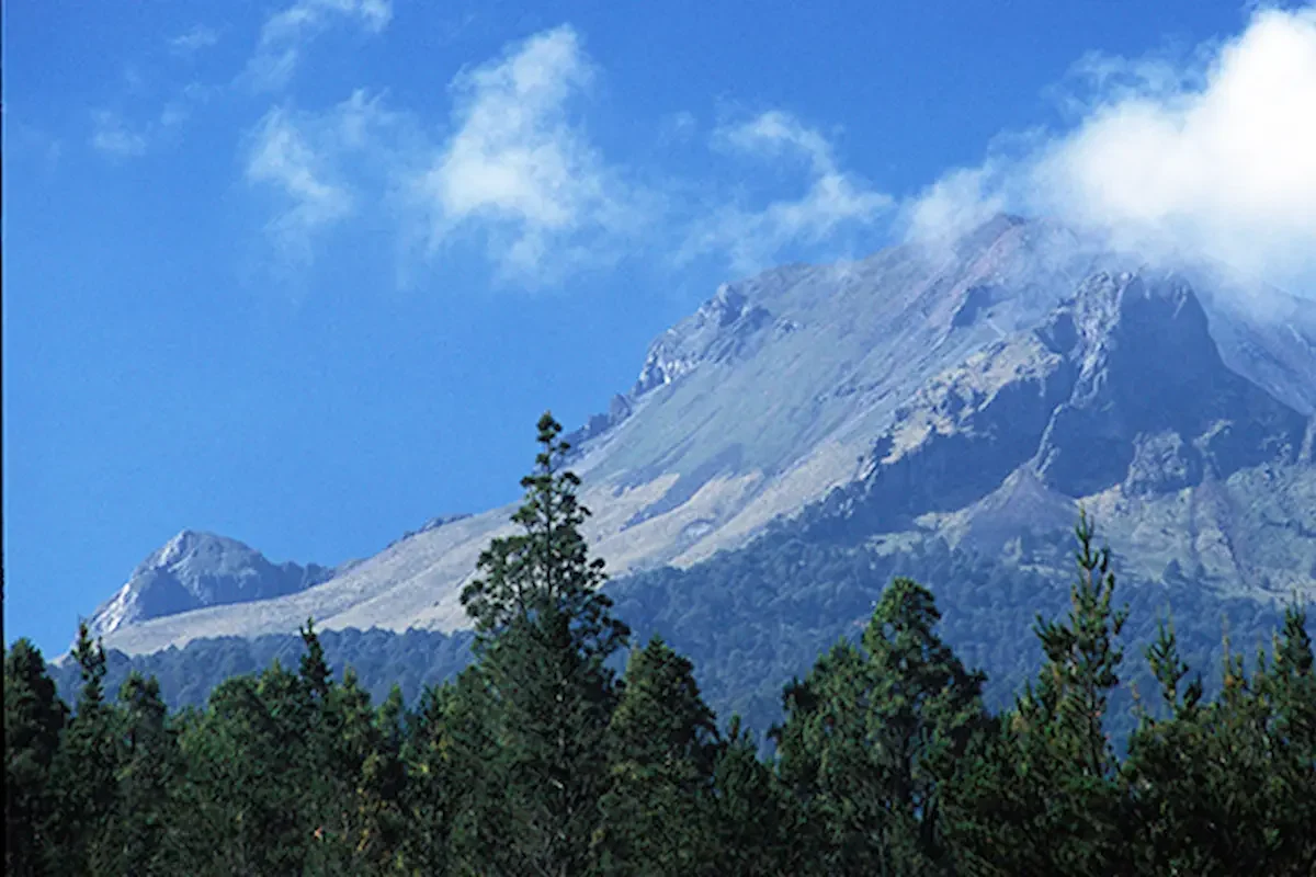 Ecoparque La Malinche tendrá Guardia Forestal para frenar tala ilegal