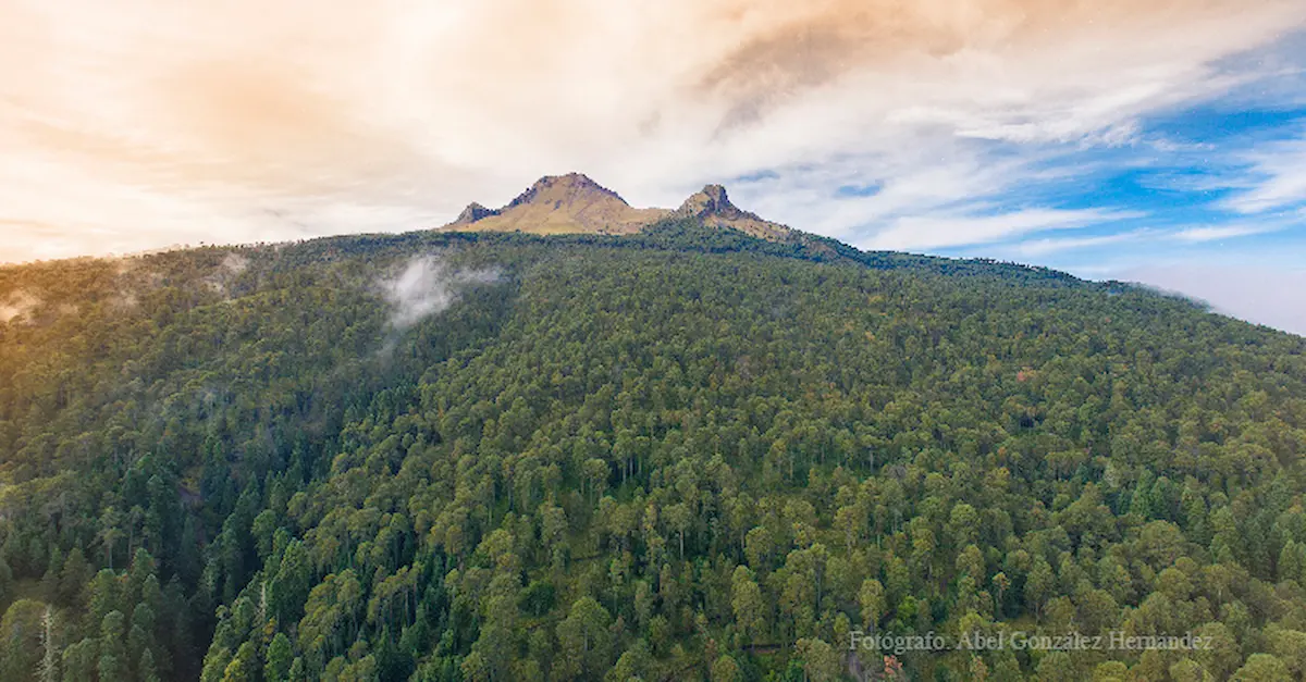 Ecoparque La Malinche tendrá Guardia Forestal para frenar tala ilegal 2 Ecoparque La Malinche tendrá Guardia Forestal para frenar tala ilegal