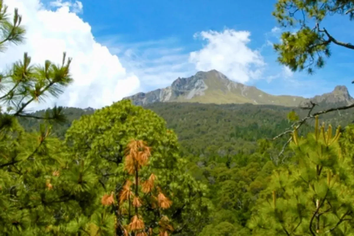 Este año, iniciará construcción del Ecoparque La Malinche 1 Este año, iniciará construcción del Ecoparque La Malinche
