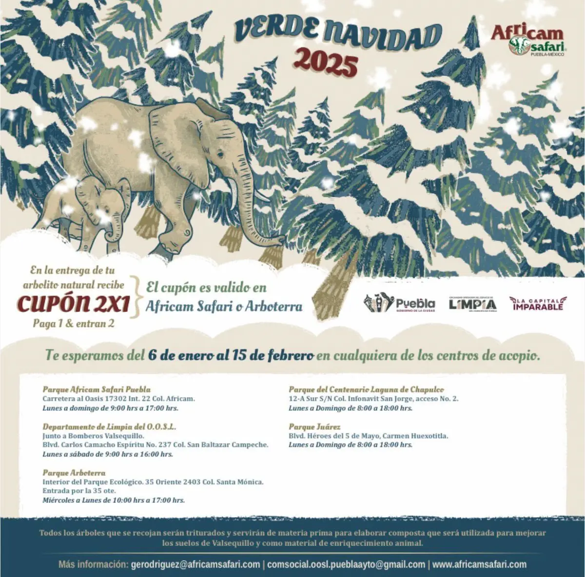 Gobierno de la Ciudad y Africam Safari inician campaña de reciclaje de árboles de Navidad 2 Gobierno de la Ciudad y Africam Safari inician campaña de reciclaje de árboles de Navidad