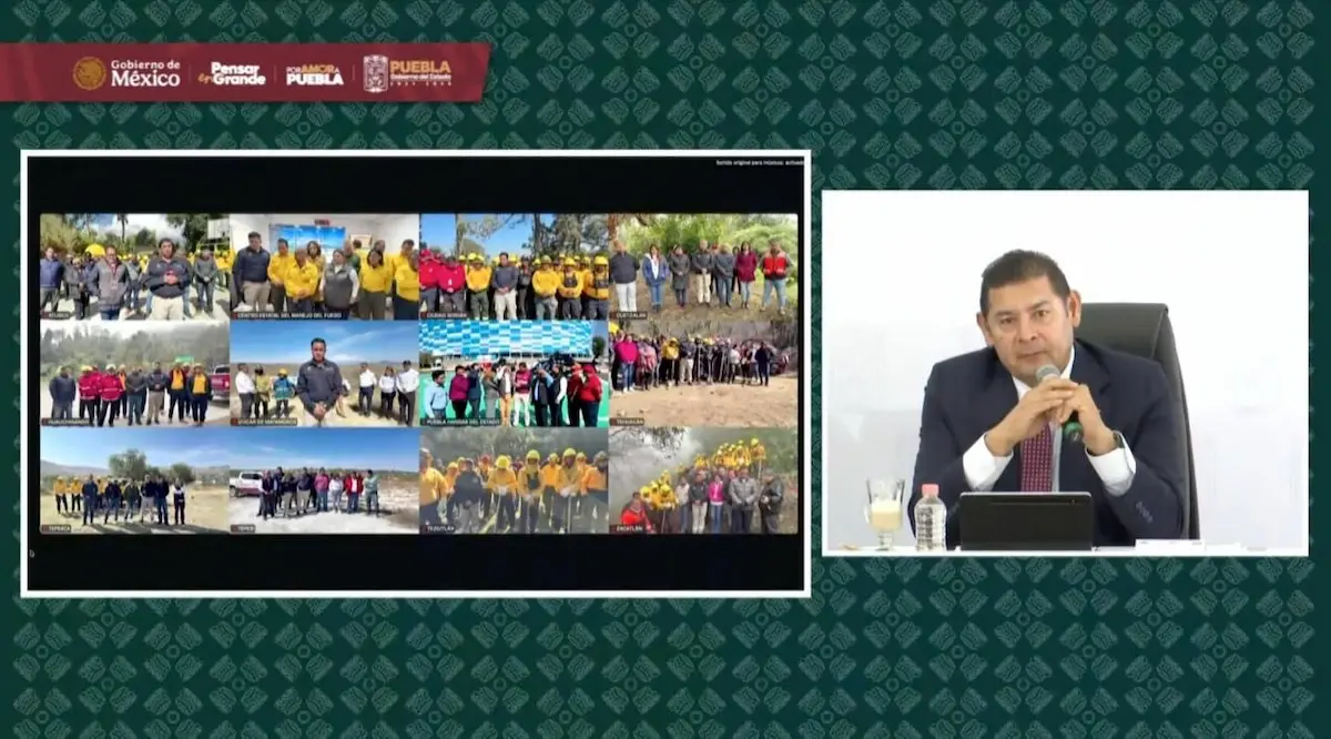 Histórica reducción del 68% en afectación forestal por prevención y tecnología