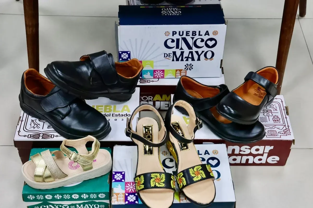 Impulsa gobierno estatal proyecto para procesar piel y fortalecer industria del calzado