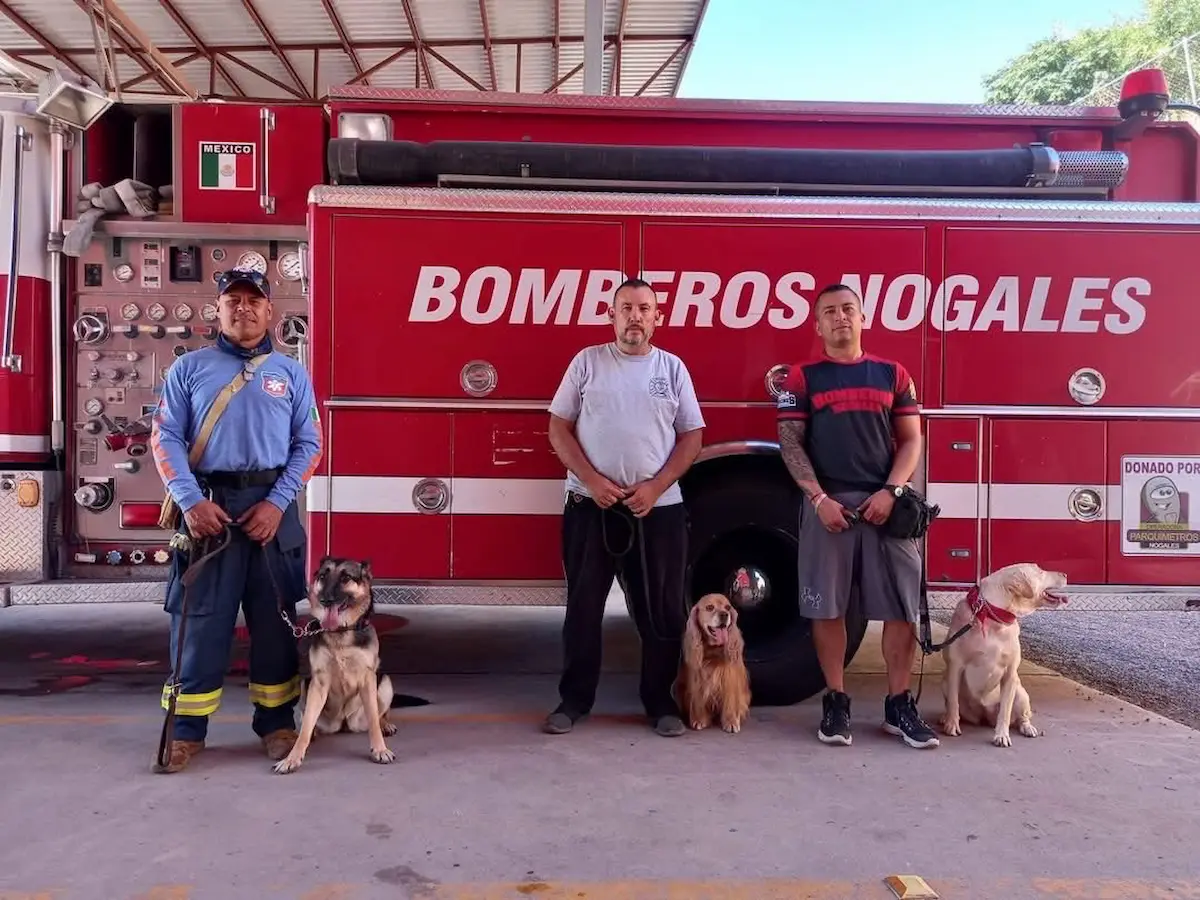 Roban perro de la unidad de rescate y búsqueda de personas de los Bomberos de Nogales