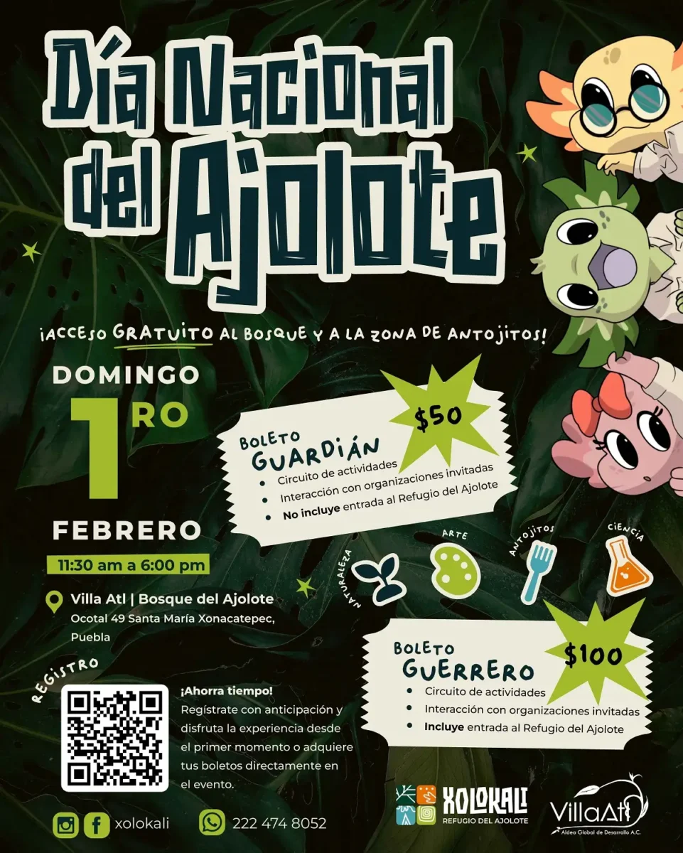 Actividades por el Día Nacional del Ajolote en Villa Atl