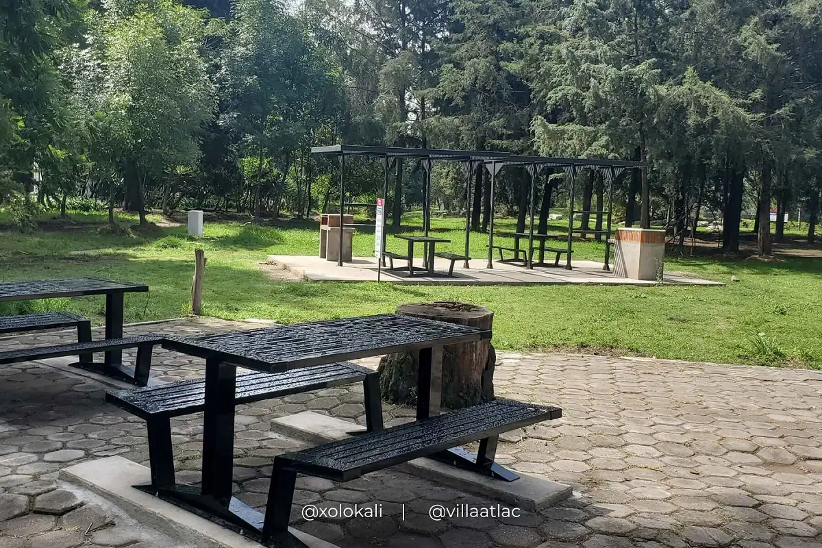 Actividades por el Día Nacional del Ajolote en Villa Atl