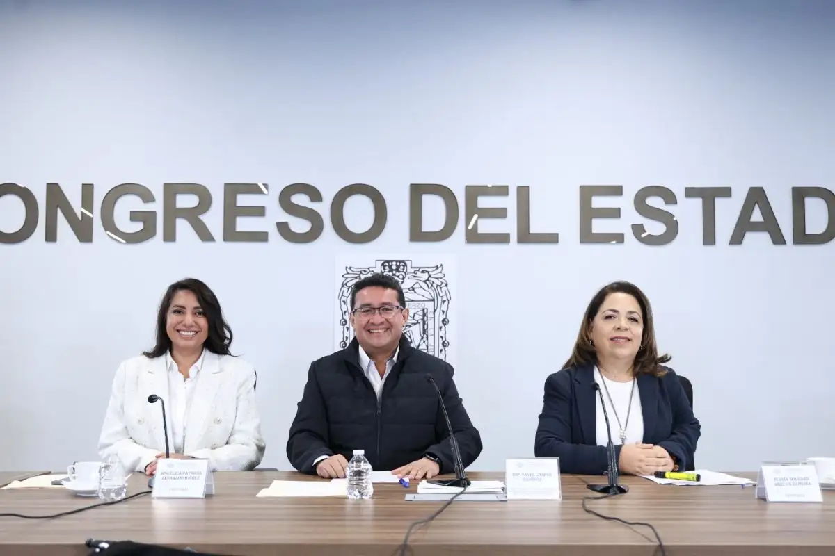 Crear Agencias de Colocación Especializadas para personas con discapacidad, propone la diputada Soledad Amieva