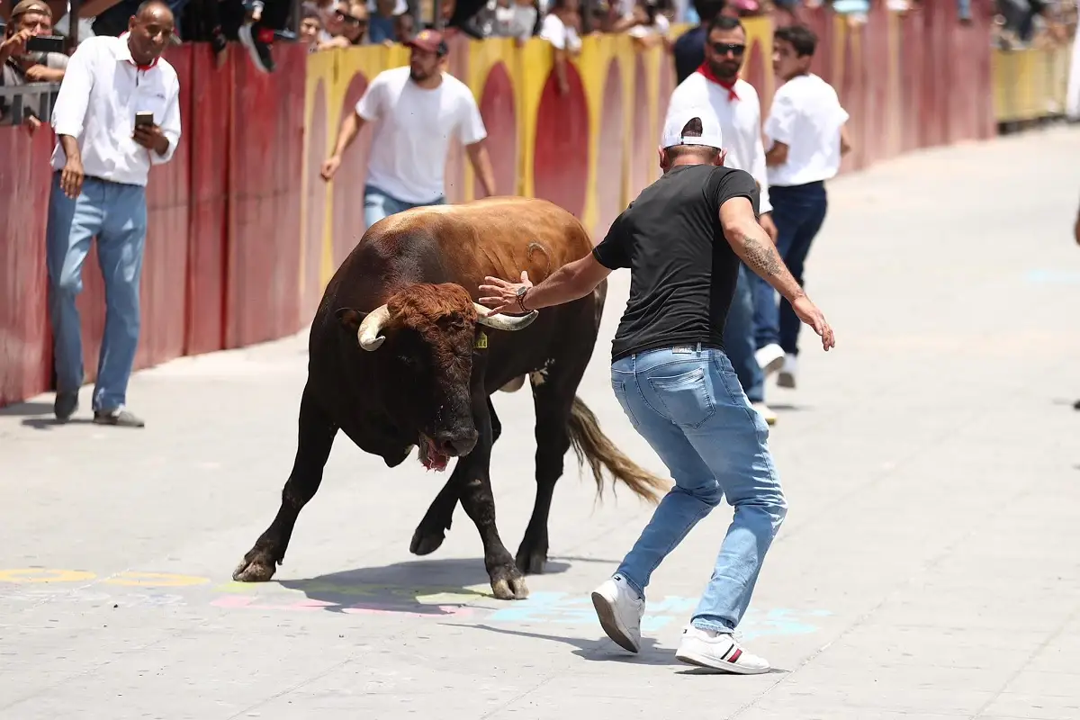Gobierno cancela pamplonada y jaripeo en Ocotepec para evitar maltrato animal 2 Cancelan pamplonada en Ocotepec para evitar maltrato animal