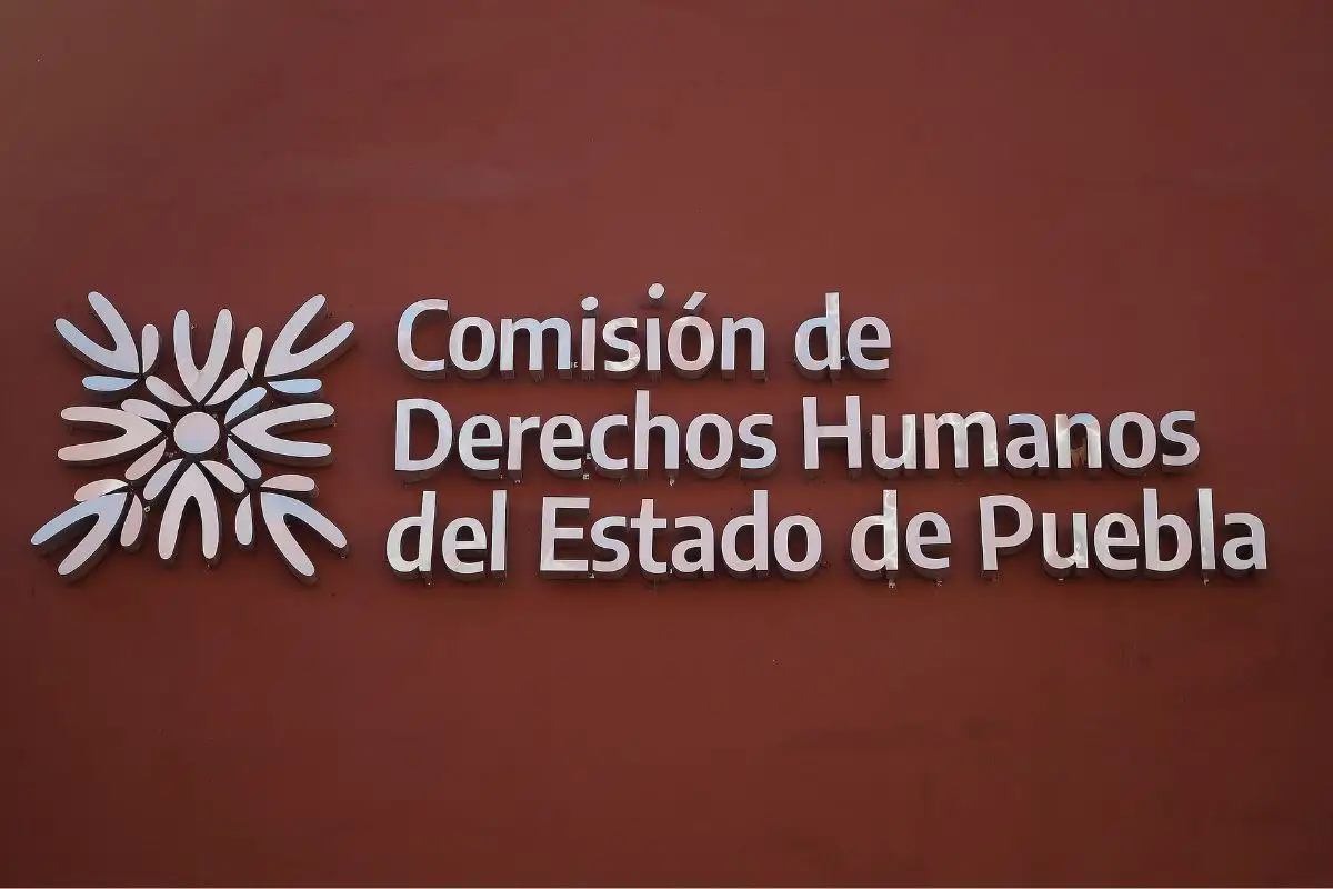 Congreso alista comparecencia de la presidenta de Derechos Humanos
