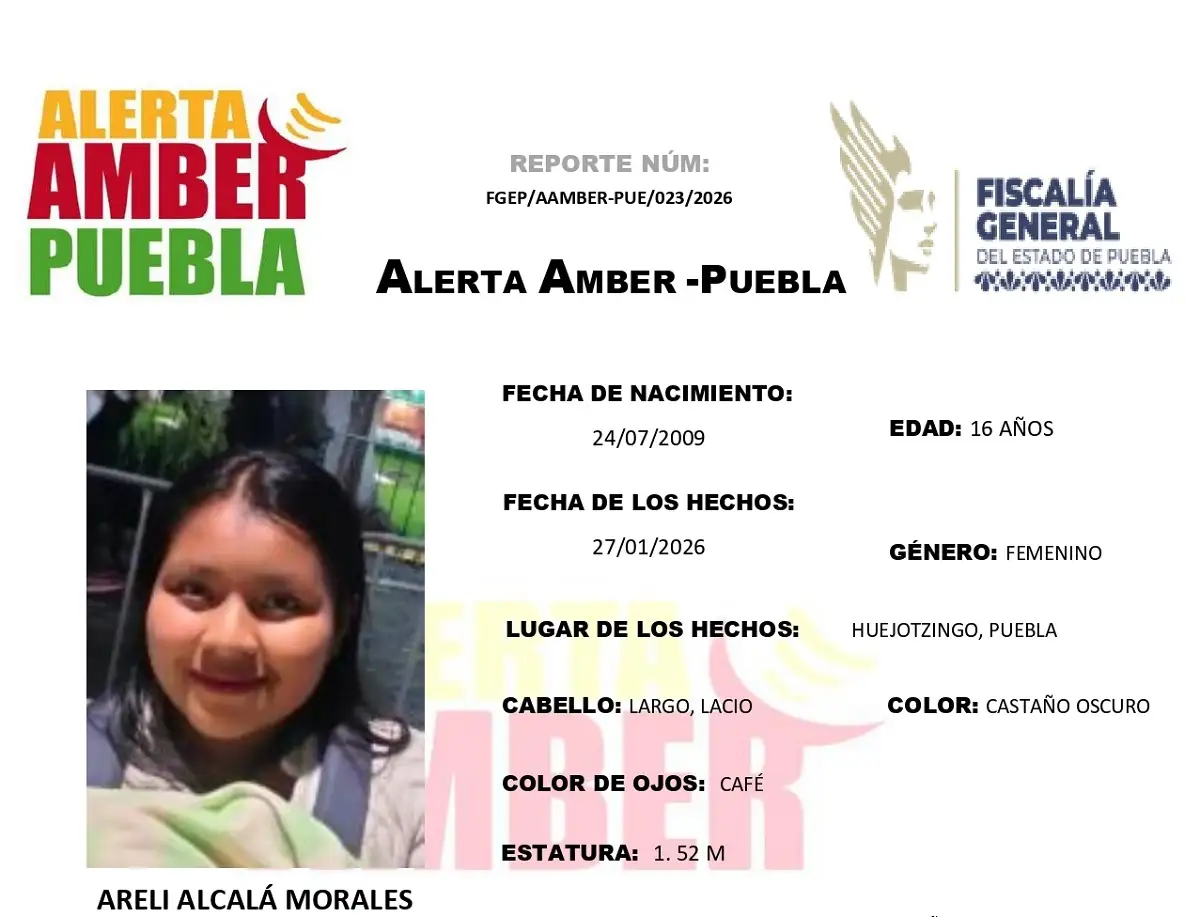 ¿Los has visto? Desaparecen Liam Alonso Alcalá y su mamá 