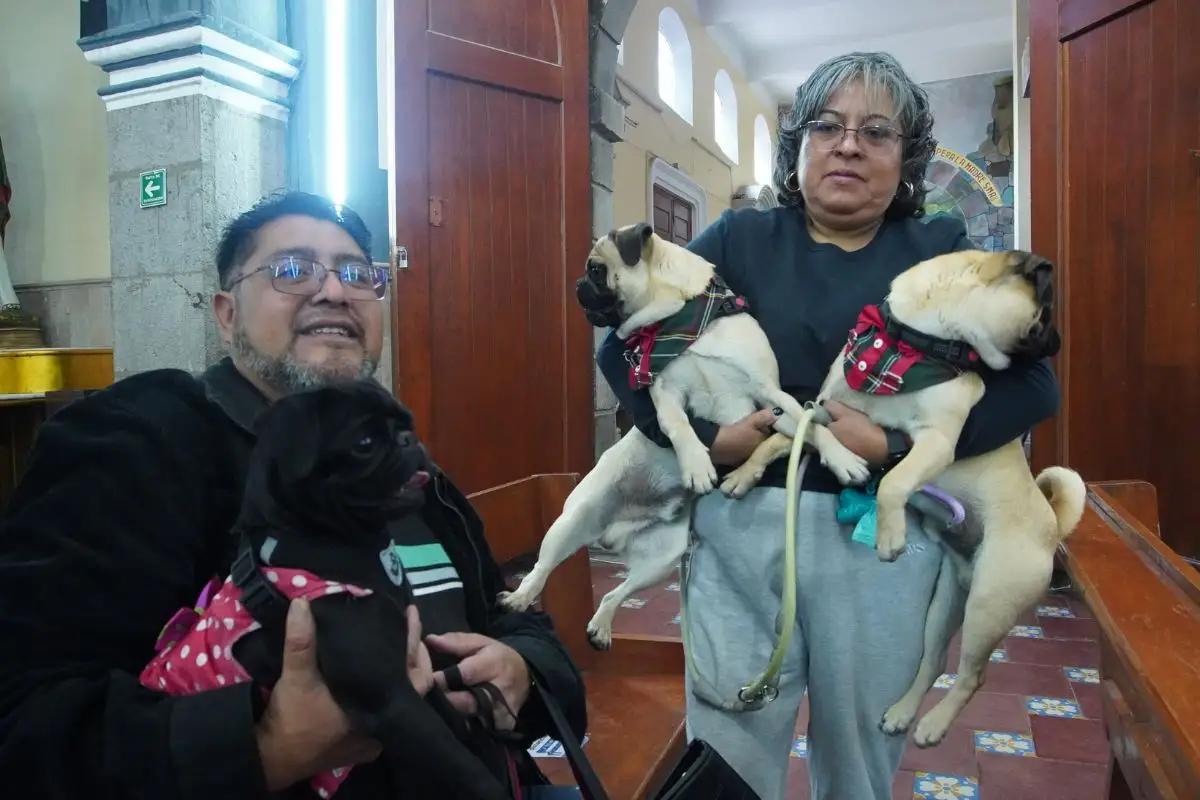 Así se celebra el Día Mundial de Bendecir a los Animales en Puebla