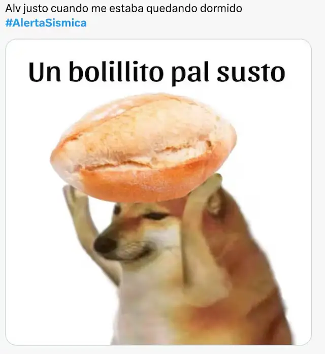 Estos son los memes que dejó el temblor hoy 16 de enero y la alerta sísmica 2 memes del sismo hoy 16 de enero
