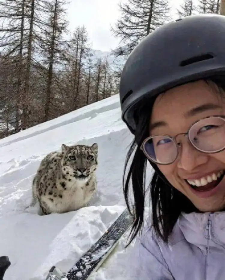 Revelan selfie que se tomó mujer atacada por leopardo de las nieves