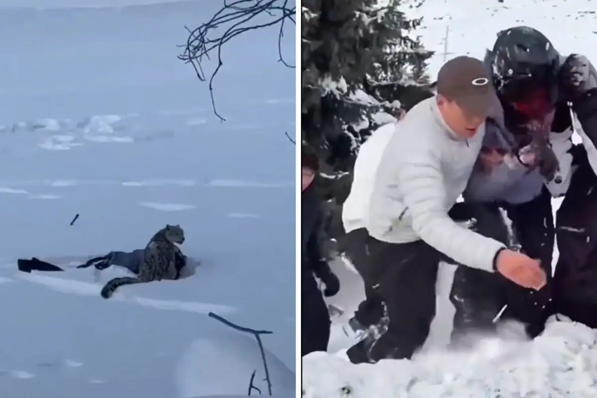 Revelan selfie que se tomó Mujer atacada por leopardo de las nieves