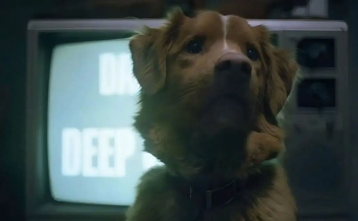 Perro Indy gana el Astra 2026 por su actuación en “Good Boy”