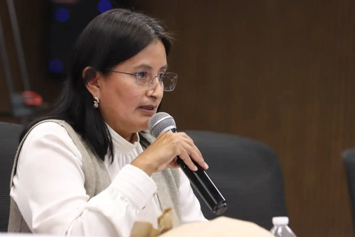 Comparece en Comisión del Congreso el titular de la Secretaría Anticorrupción y Buen Gobierno