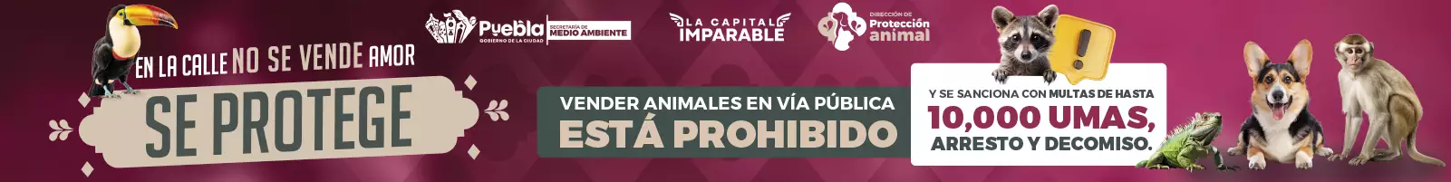 Noticias de Puebla 27 1200X150 1