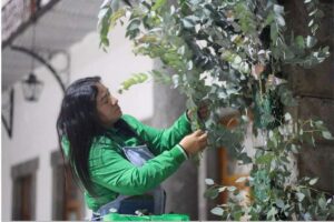 Capacitan a mujeres de Zacatlán para que emprendan en el negocio de florería