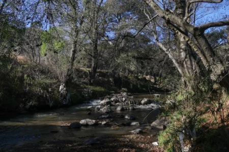 En 2027, Puebla tendrá Centro de Monitoreo del Río Atoyac 