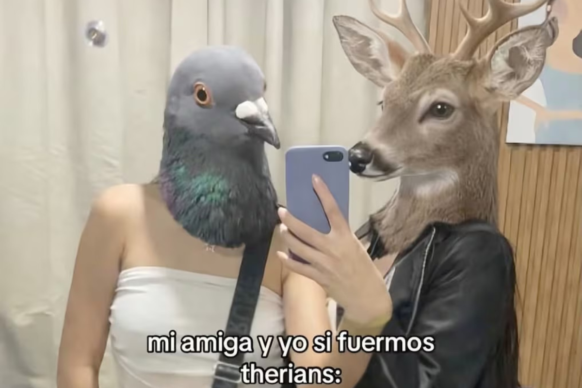 Estos son los mejores memes de los therians, la tendencia que está rompiendo las redes 3 Estos son los mejores memes de los therians