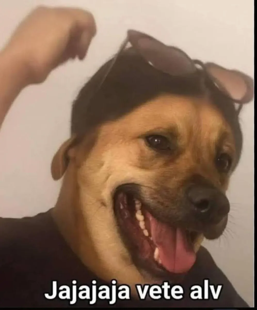 Estos son los mejores memes de los therians