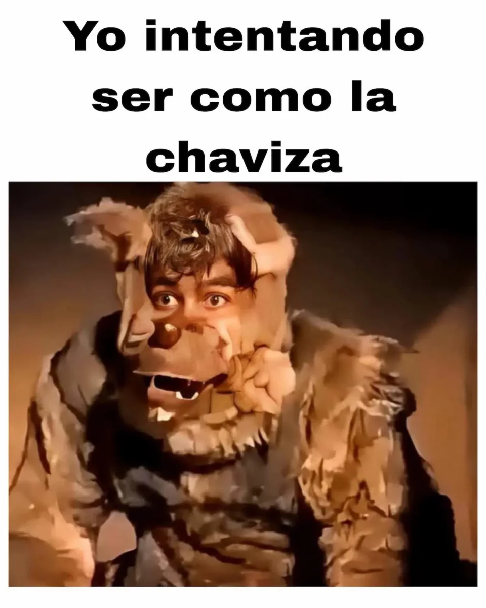 Estos son los mejores memes de los therians