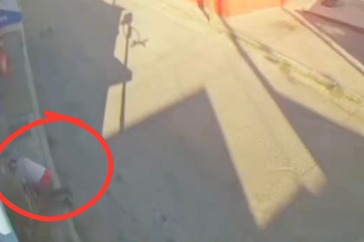 Ruta 68 golpea a adulto mayor