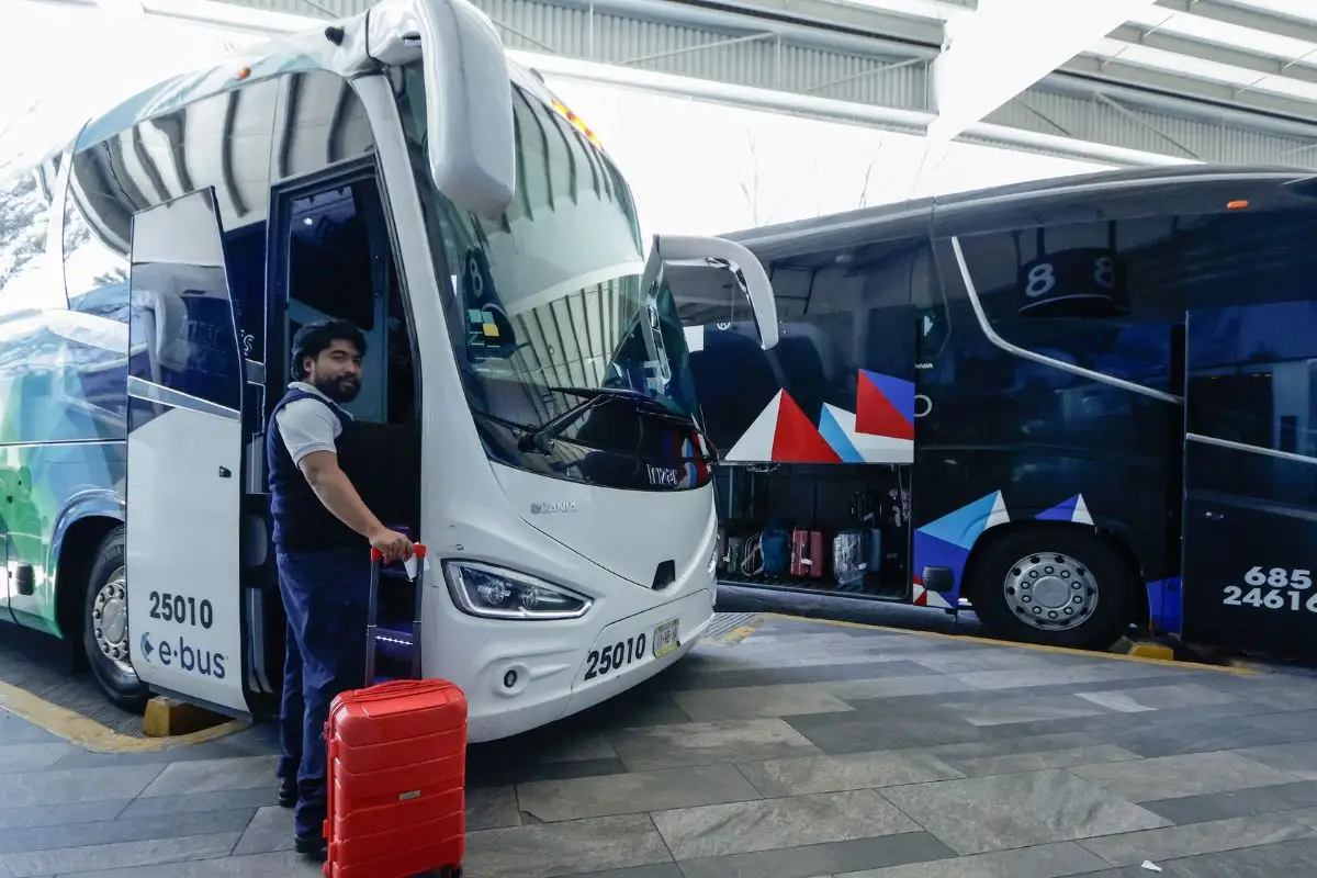 descuento del 50% en Estrella Roja: aquí todos los detalles