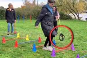 Qué es el y cómo surgió el hobby dogging