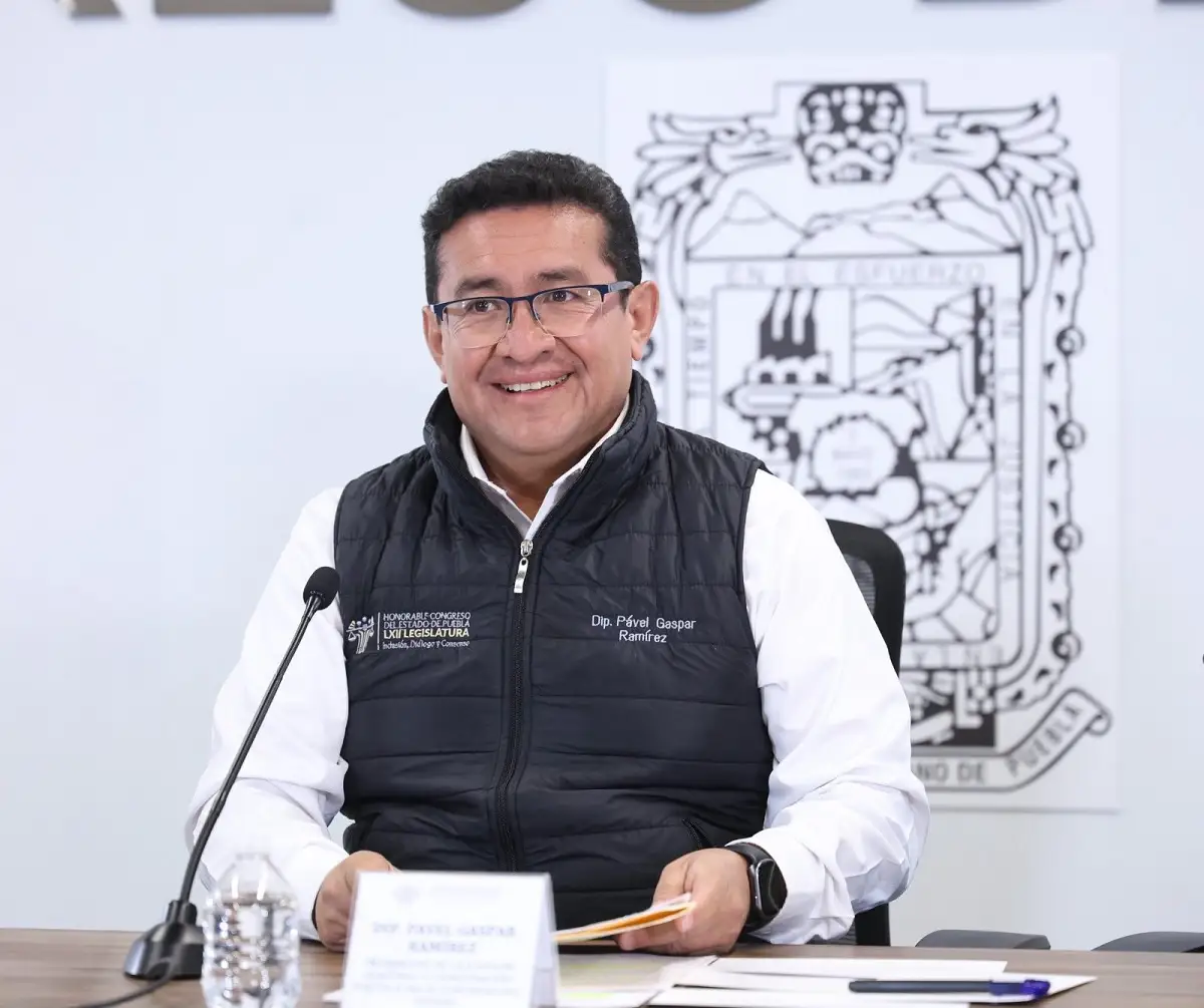 No vamos a proteger a nadie: el mensaje de Pavel Gaspar a alcaldes de Morena