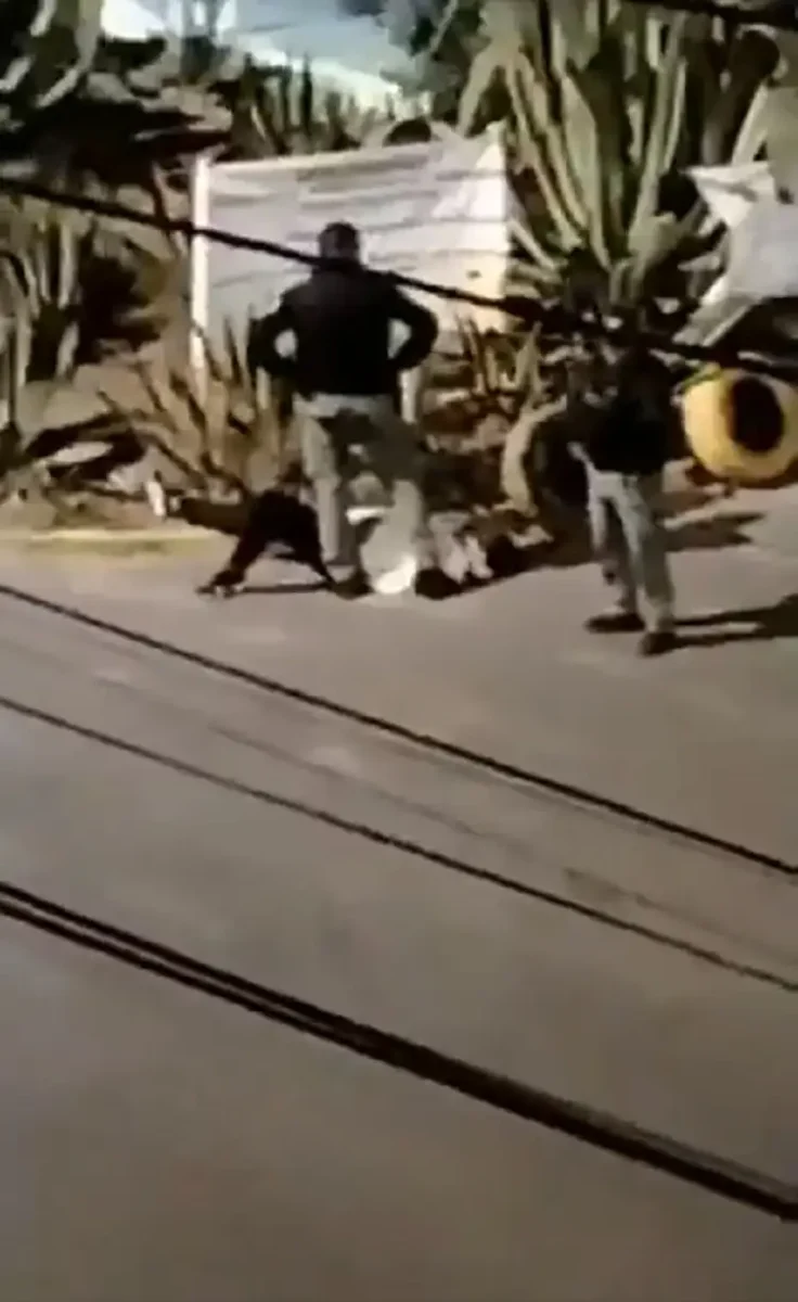 Persecución en Bosques de San Sebastián deja un detenido