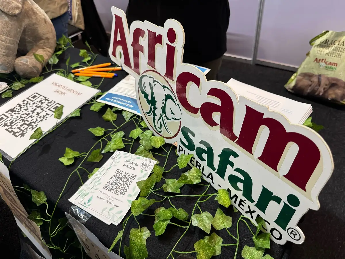 Feria del Empleo de Puebla 2026: GN ofrece vacantes de 32 mil pesos