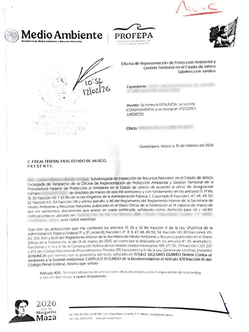Profepa denuncia a regidora de Ocotlán captada con mono araña