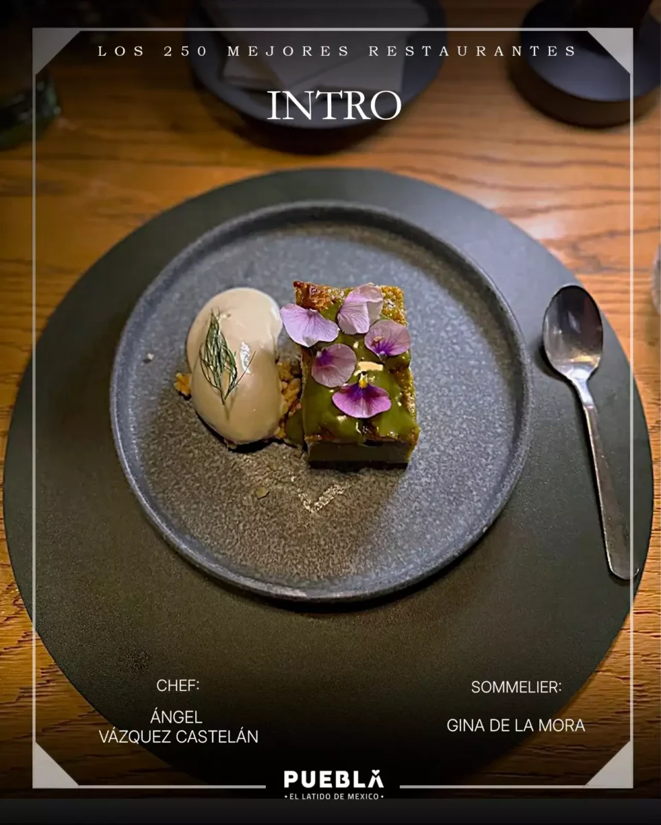 visit puebla 1770504019 3827584526957030900 480459288