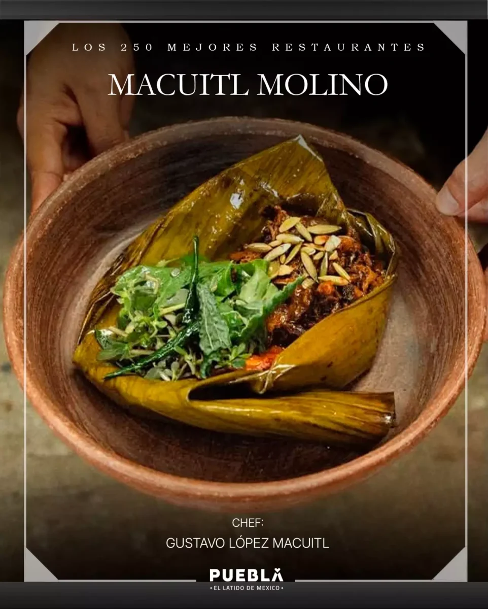 visit puebla 1770504019 3827584530178275833 480459288