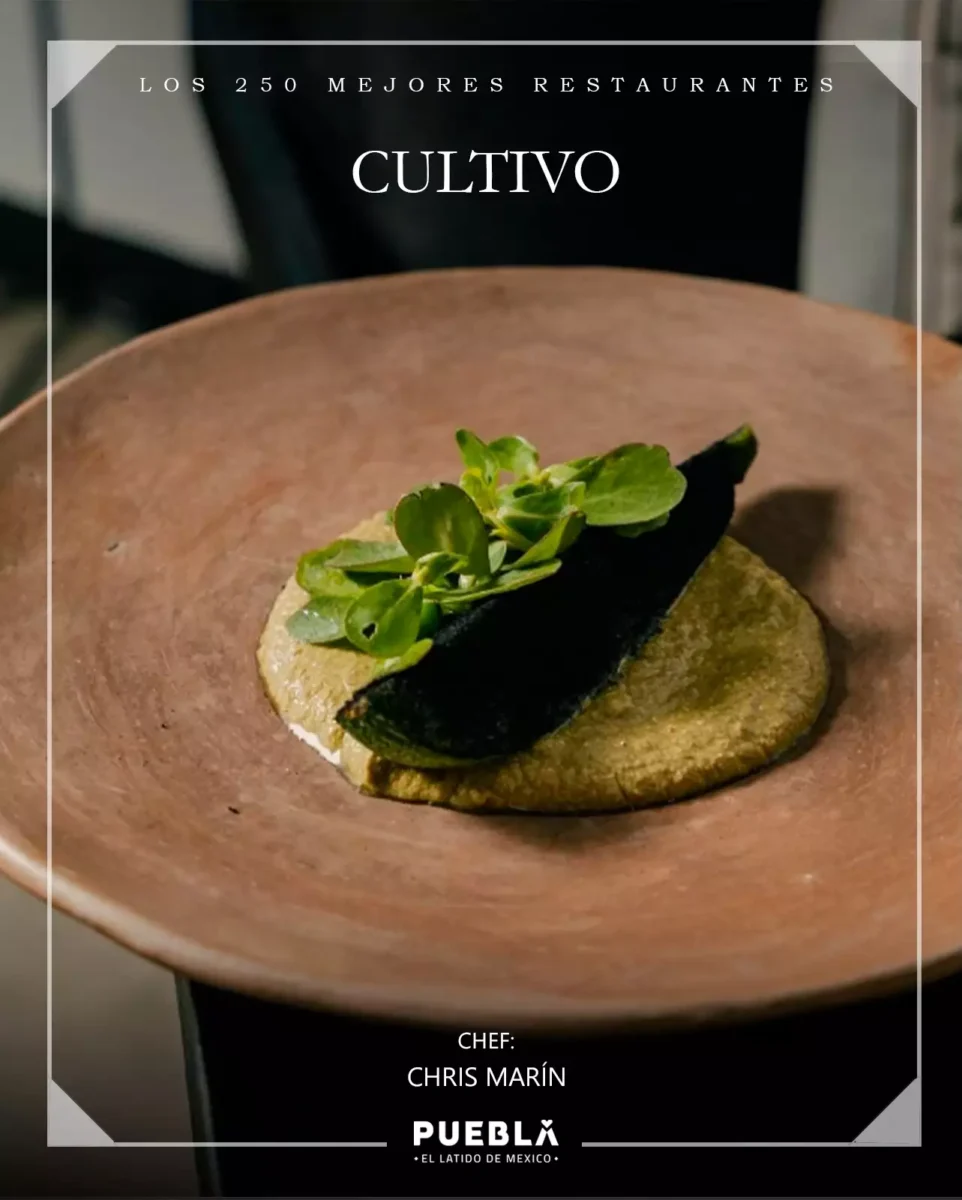 visit puebla 1770504019 3827584531193267724 480459288